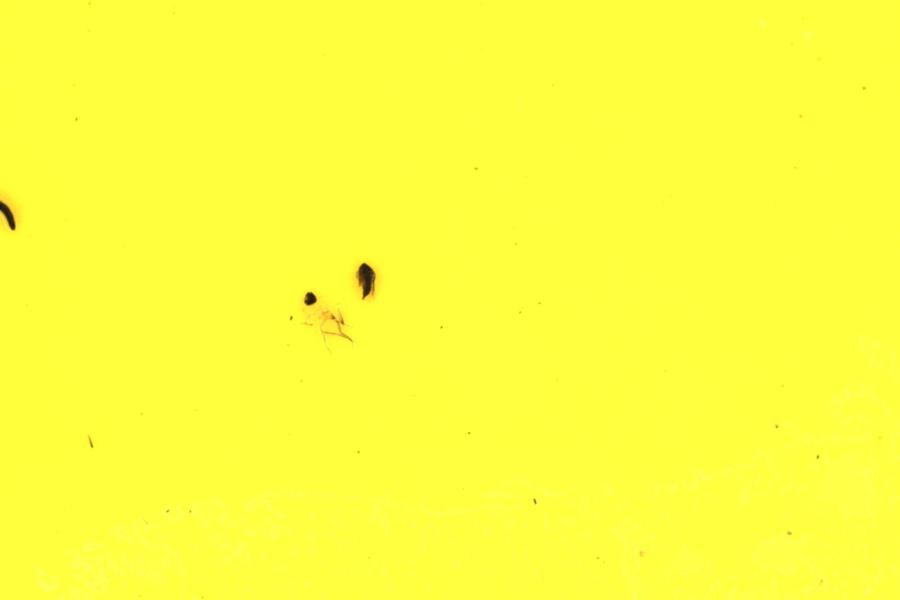Image 13